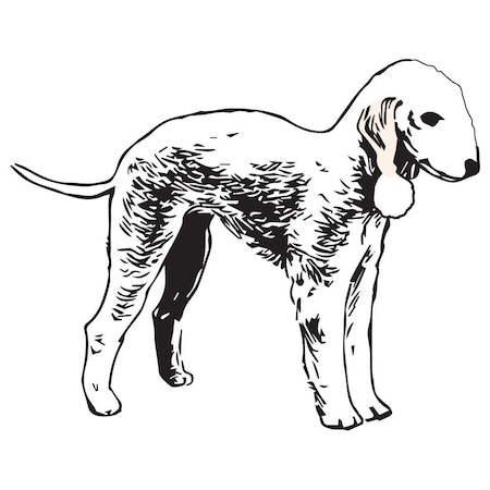 Signmission Bedlington Terrier Dog Decal, Dog Lover Decor Vinyl Sticker D-12-Bedlington Terrier